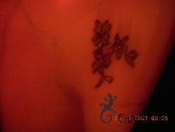 DSCN0399.JPG